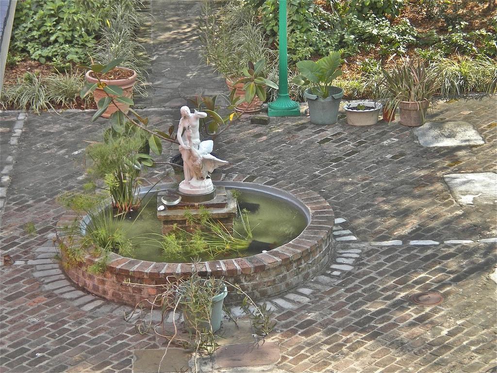 Bed and Breakfast La Belle Esplanade New Orleans Exteriér fotografie